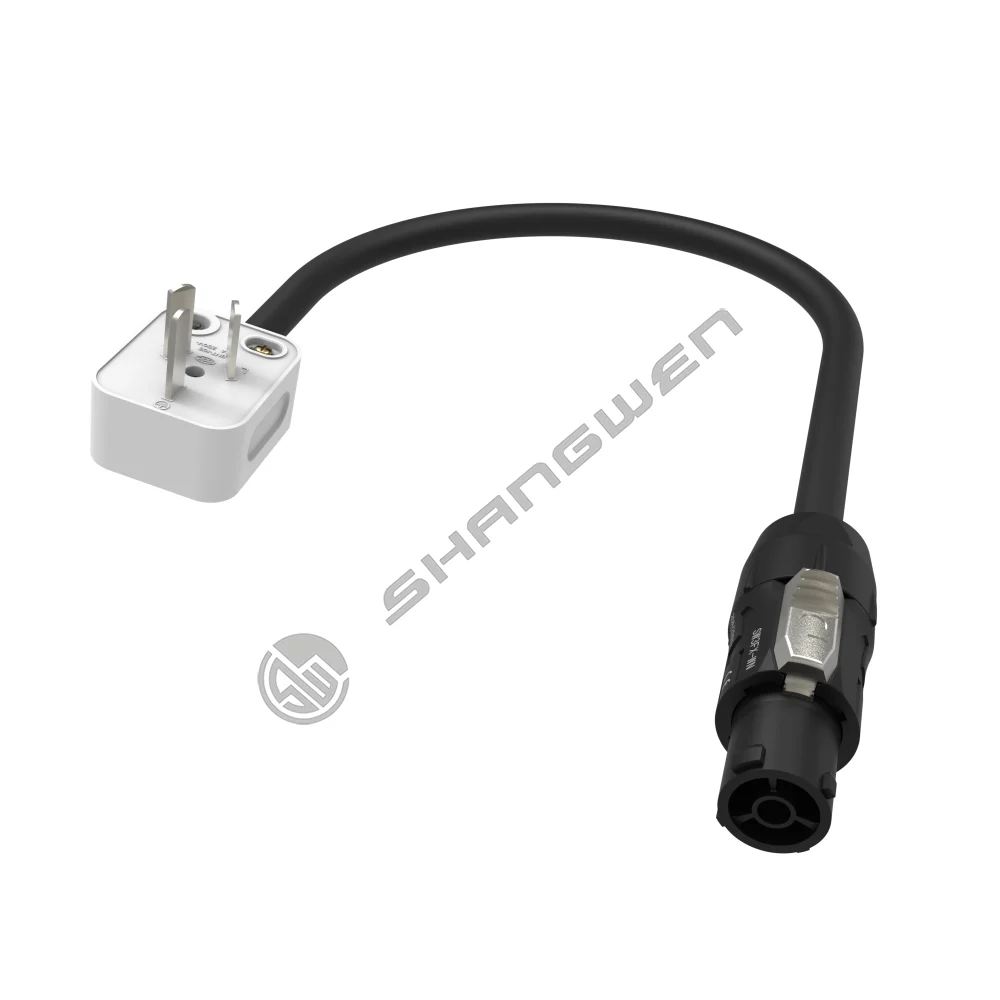 SW3FX-WN to national standard plug